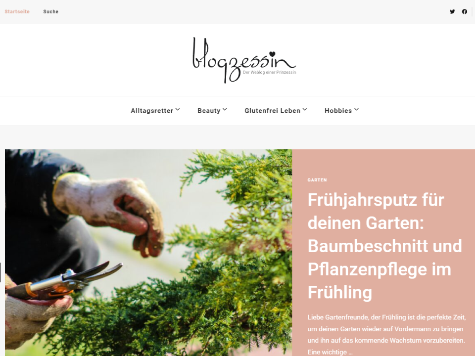 blogzessin.de